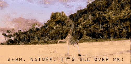 Madagascar - Nature! Get it Off!