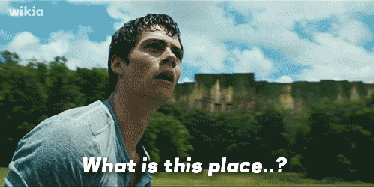 maze-runner-what-is-this-place
